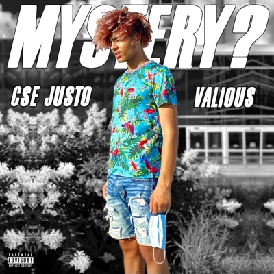 Mystery (feat. Valious) - Single