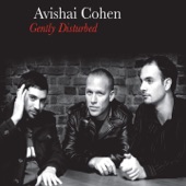 Avishai Cohen Trio - Umray