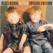 You & Me (feat. Eliza Doolittle) [Flume Remix] - Disclosure