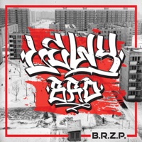 B.R.Z.P - Lewy BRD