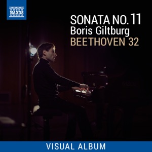 Beethoven 32: Sonata No. 11 (Visual Album)