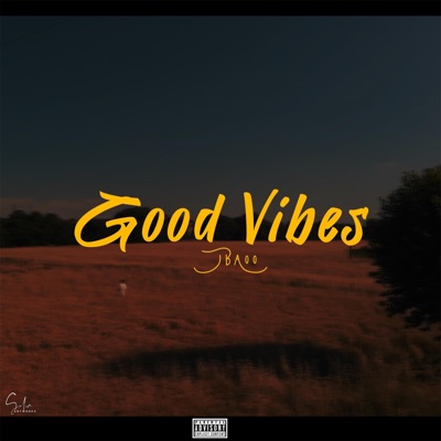 Good Vibes - Single