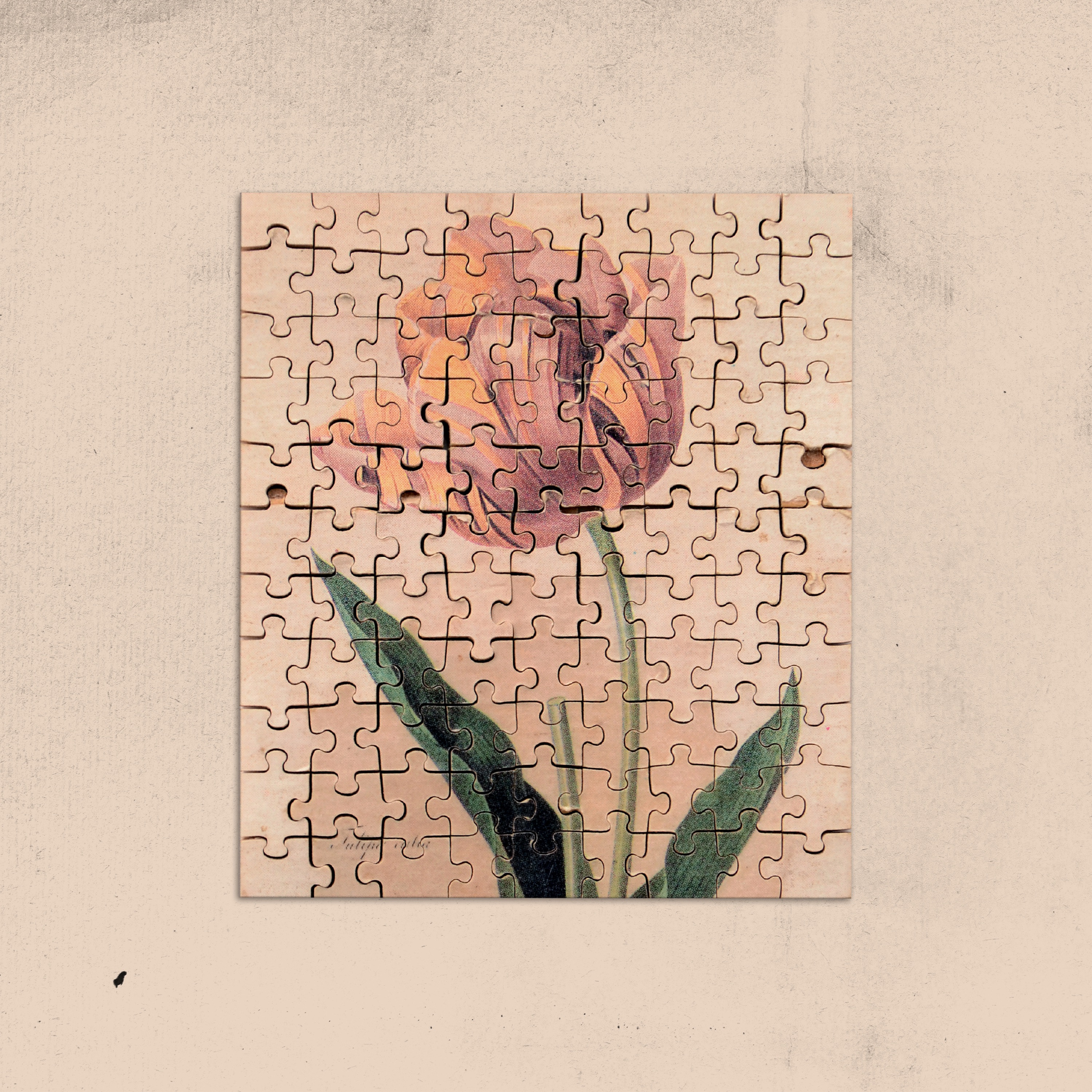 Other Joe - Lavender Pill