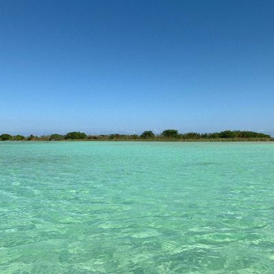 Ella Me Dijo Que La Robe - Single