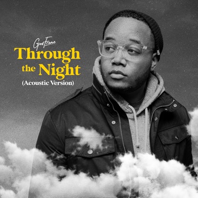 Through the Night (Acoustic Version) - Single