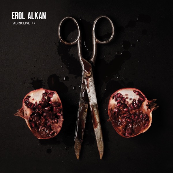 FABRICLIVE 77: Erol Alkan (DJ Mix)