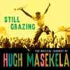 Still Grazing - Hugh Masekela