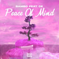 Peace of Mind (feat. CE) - Single - Bambo