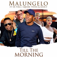Till The Morning (feat. DJ Tira, Qwabe Twins & Joocy) - Single - Malungelo
