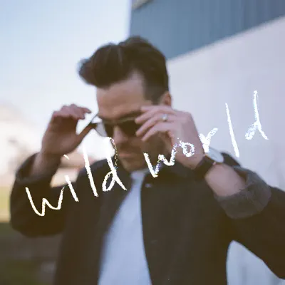 Wild World - Single - Trent Dabbs