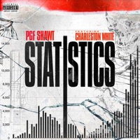 Statistics - Single - Shawt