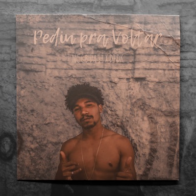 Pediu pra Voltar (feat. DJ DK ZS) - Single