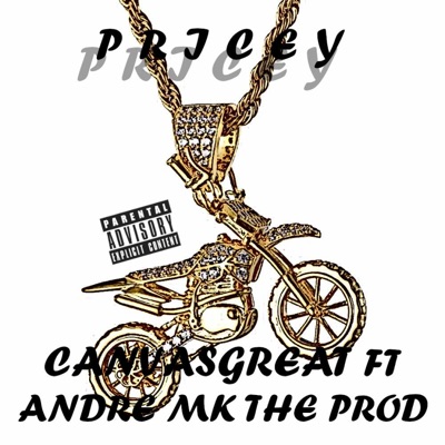 Pricey - Single