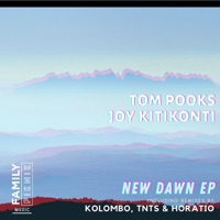 New Dawn - Single - Tom Pooks, Joy Kitikonti & TNTS