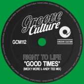 Good Times (Micky More & Andy Tee Mix) artwork