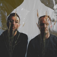 Glass Echoes