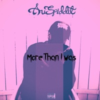 More Than I Was - Single - Auspiddit