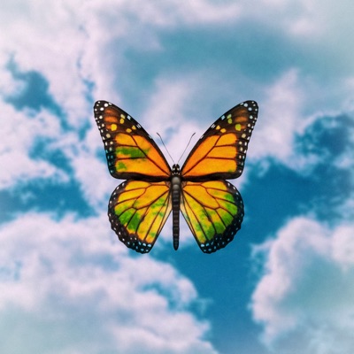 Modo Avión - Single