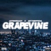 Grapevine (feat. ANT the Official) - Single