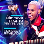 Não Tava Pronto pra Te Ver / Princesa Favelada - Single