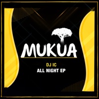All Night - Single - DJ IC