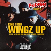Wingz Up (feat. Ali Starr, Melodiq 10th Wonder, FullMoon & Redman) artwork