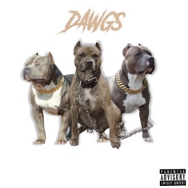 Dawgs Brandon Bill$ & WAV3POP