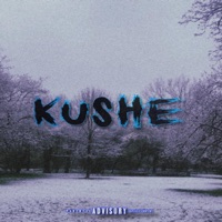 Kushe (feat. Rich Kartel) - Single - SOUR FIGHT