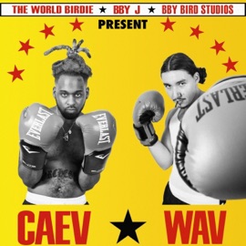 Matador Cæv & Soap.Wav