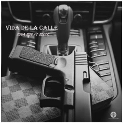 Vida De La Calle (feat. Blesk & Soda Boy) - Single