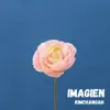 Stream & download IMAGINE