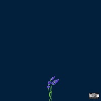 get well soon (feat. Liphemra) - gnash