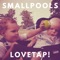 Mason Jar - Smallpools lyrics