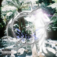 angel wing dust (feat. miniskirt) - Single - Soarer