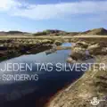 Søndervig
