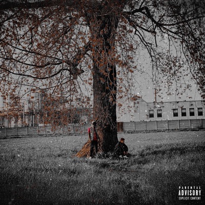 Papaveri (feat. Chester) - Single