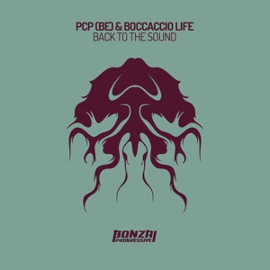 Back to the Sound - Single