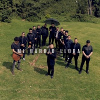 Mi Barrio Llora - Single - Toga