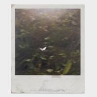 Conto de Fadas - Single - fallkee