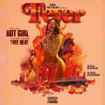 Megan Thee Stallion - Cash Shit (feat. DaBaby)