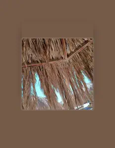 Escucha a Theodorska, mira vídeos musicales, lee la biografía, consulta fechas de giras y mucho más.