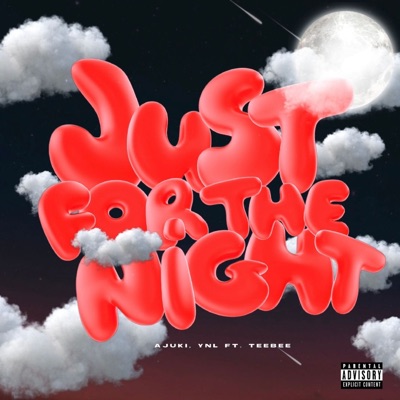 JUST FOR THE NIGHT (Prod. YNL) [feat. Teebee] - Single
