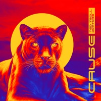 Cause - Single - Ted Troll & Doxtors