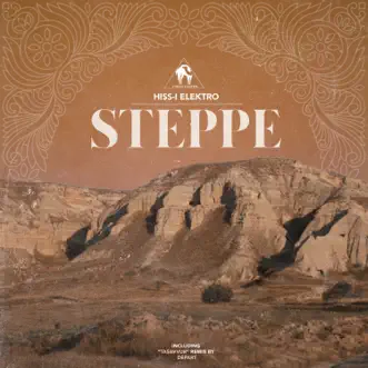 Steppe - Single by Hiss-i Elektro, Depart & Cafe De Anatolia album reviews, ratings, credits