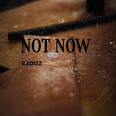Not Now (feat. RaDizz) - Single