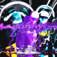 Sorry! - Single - no8