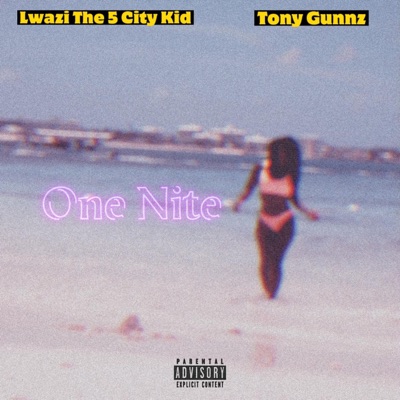 One Nite (feat. Lwazi the 5 City Kid) - Single