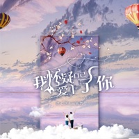 我怀疑自己爱上了你 - Single - 洪七洲 & 王白水