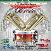 Fiesta Mexicana Con la Banda - Various Artists