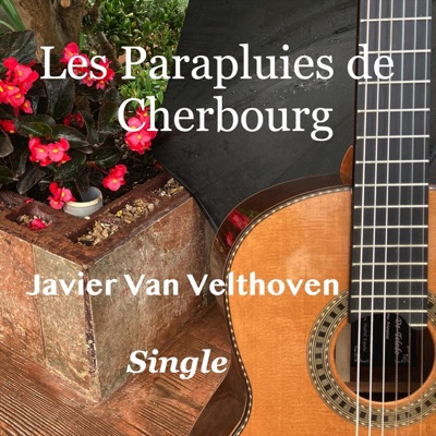 Les Parapluies de Cherbourg - Single